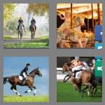 4 pics 1 word 9 letters horseback