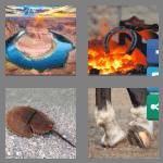 4 pics 1 word 9 letters horseshoe