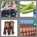 4 pics 1 word 9 letters identical