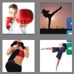 4 pics 1 word 9 letters kickboxer