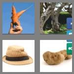 4 pics 1 word 9 letters misshapen