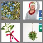 4 pics 1 word 9 letters mistletoe