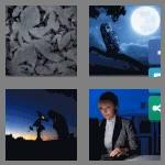 4 pics 1 word 9 letters nocturnal