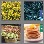 4 pics 1 word 9 letters plentiful