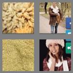 4 pics 1 word 9 letters sheepskin