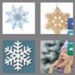 4 pics 1 word 9 letters snowflake