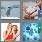 4 pics 1 word 9 letters spreading