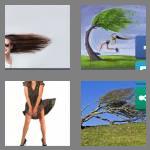 4 pics 1 word 9 letters windblown