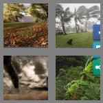 4 pics 1 word 9 letters windstorm